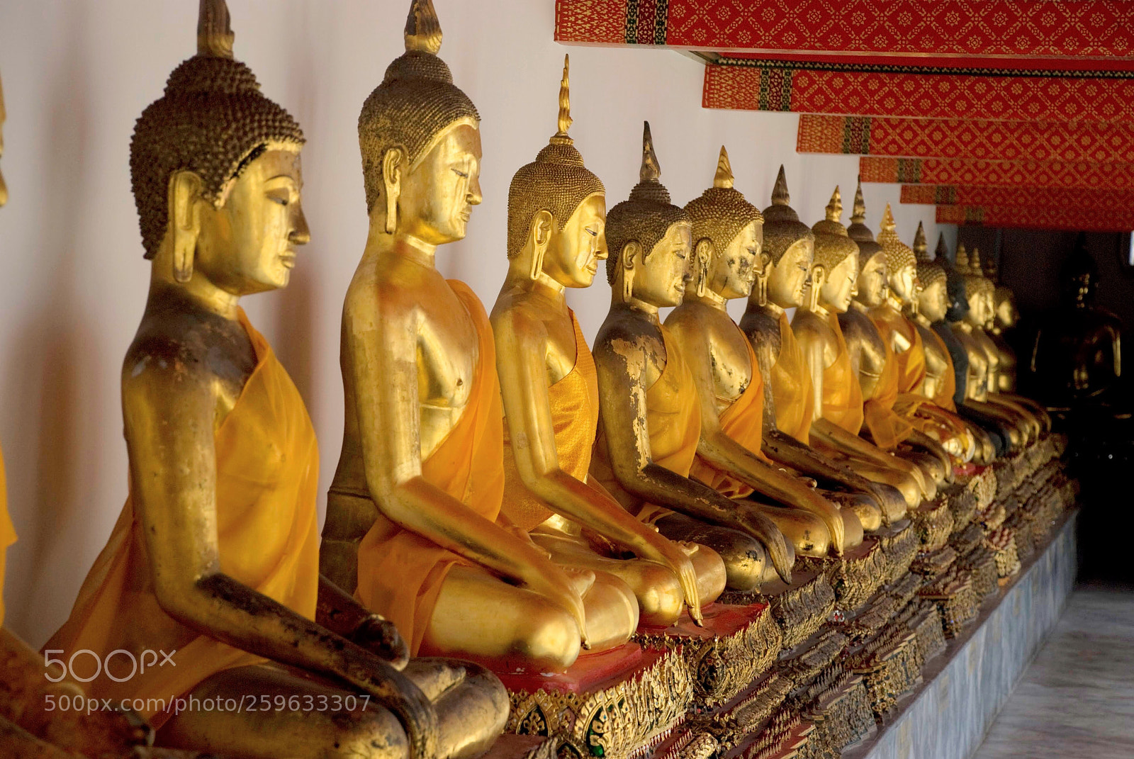 Nikon D80 sample photo. Buddha row photography