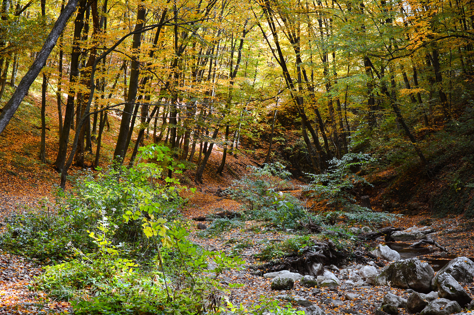 Nikon D7100 sample photo. Római fürdő photography