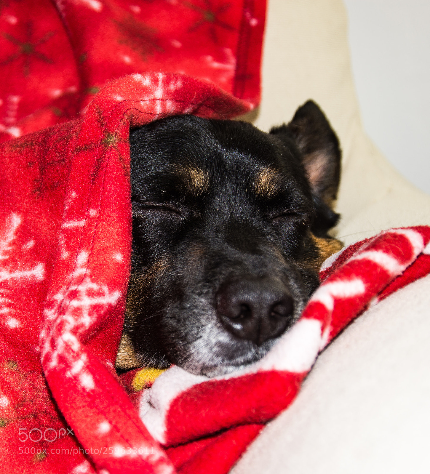 Nikon D7200 sample photo. Untitled photography