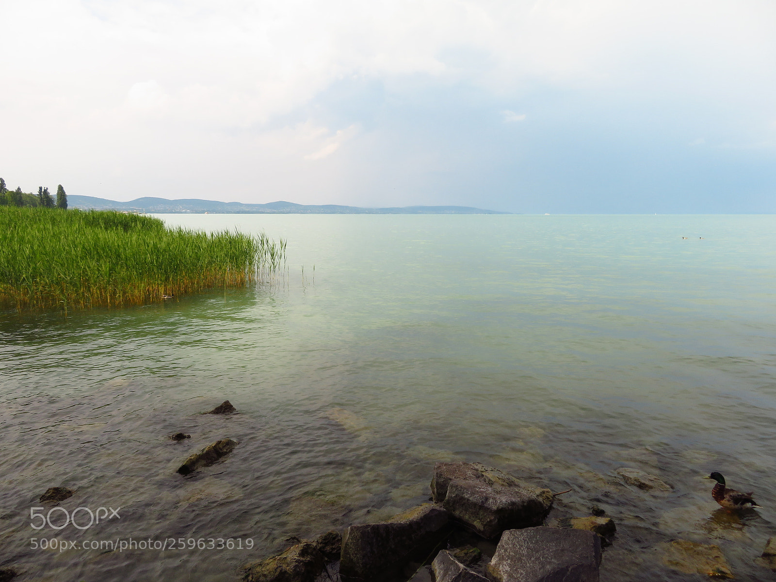 Canon PowerShot SX720 HS sample photo. Balaton photography