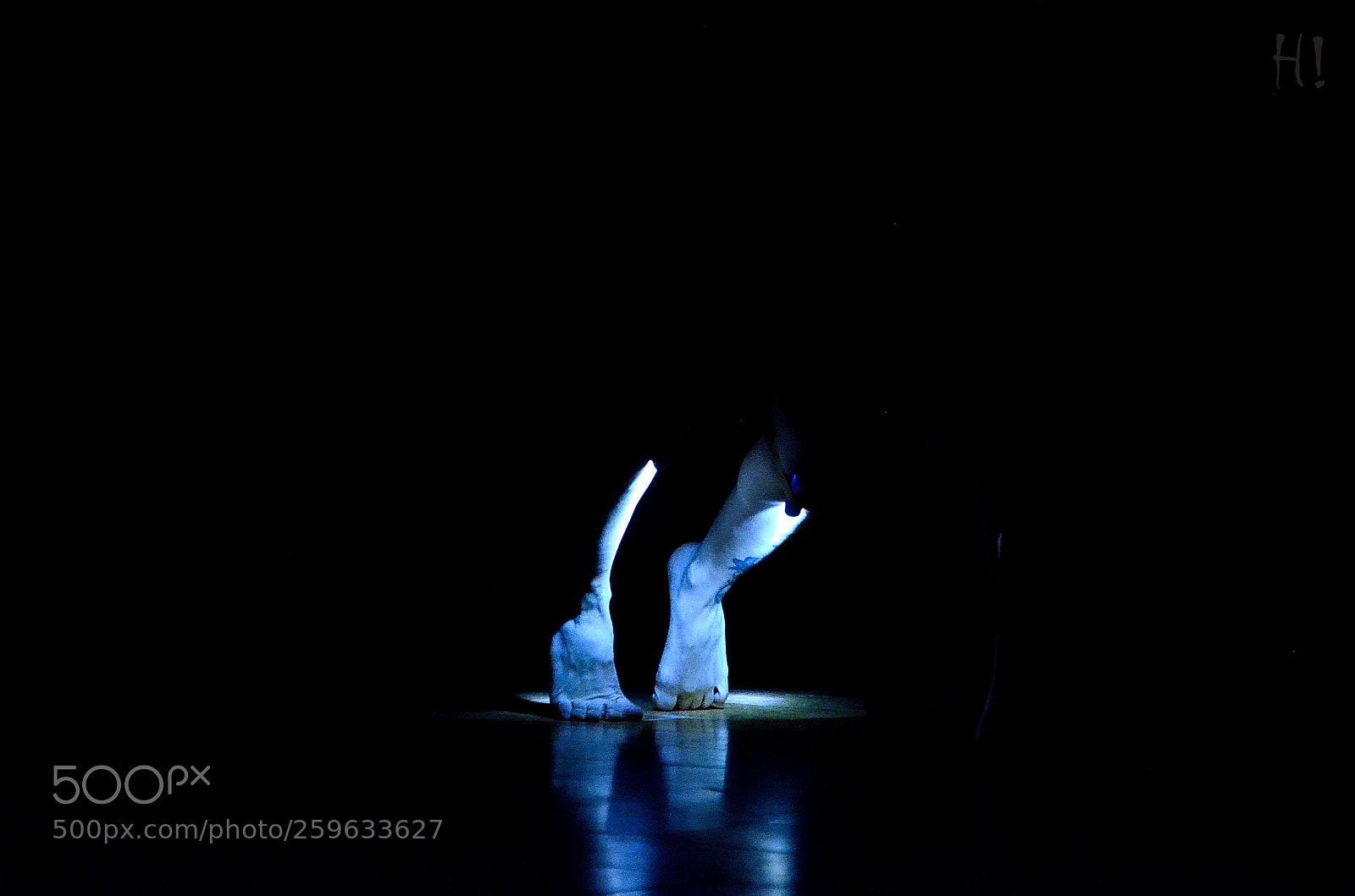 Nikon D7000 sample photo. Pies photography