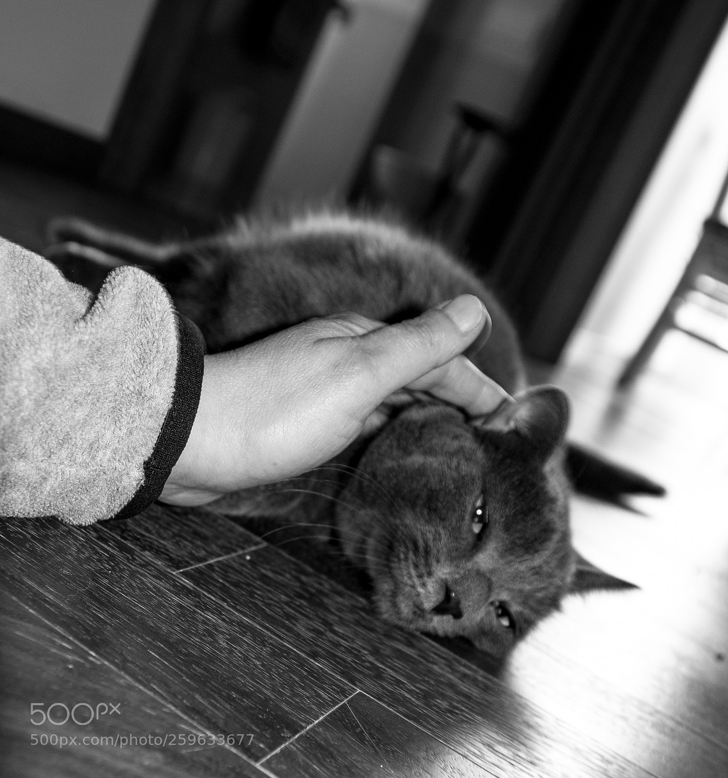 Nikon D7200 sample photo. Untitled photography
