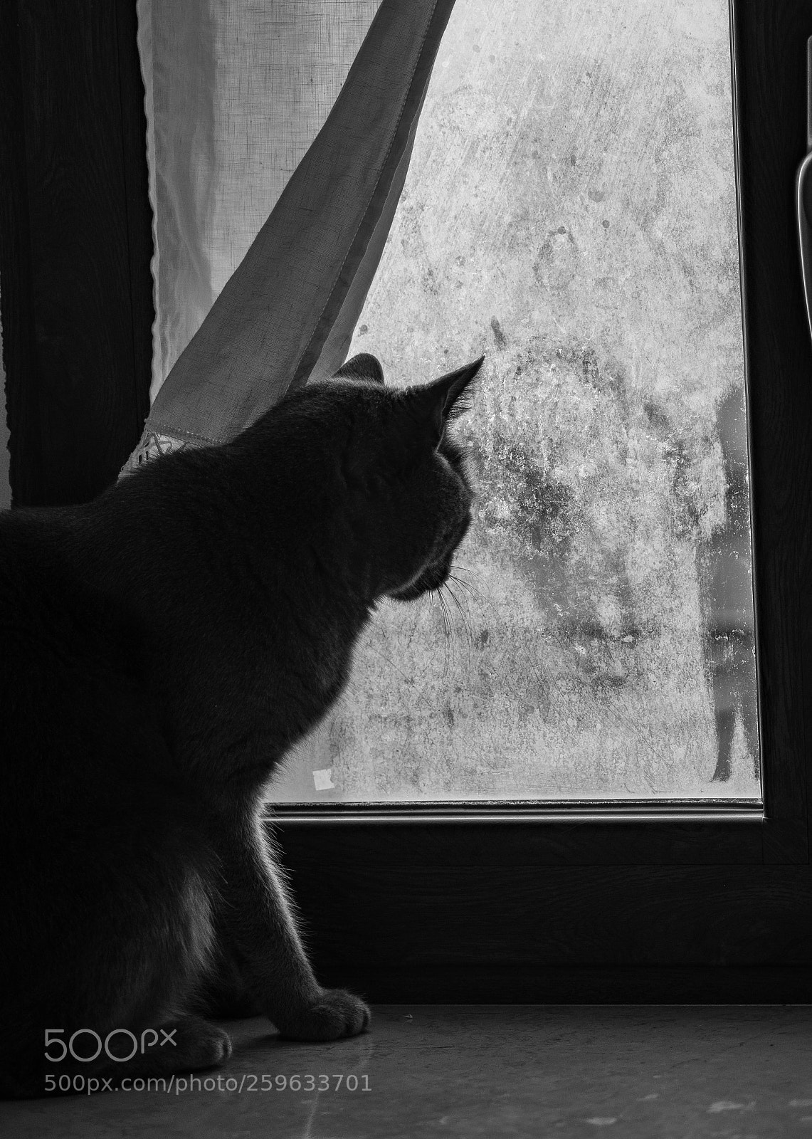 Nikon D7200 sample photo. Untitled photography
