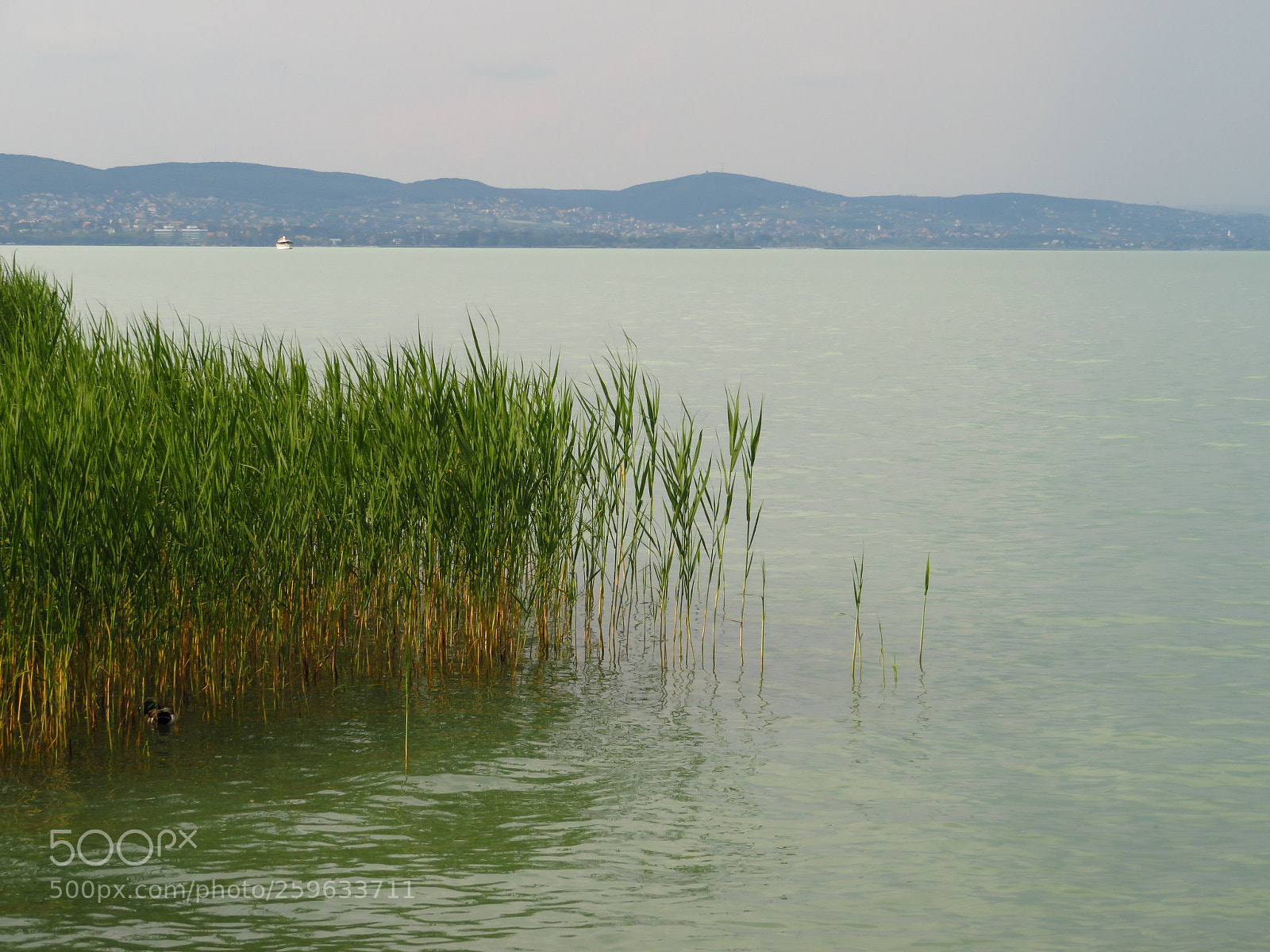 Canon PowerShot SX720 HS sample photo. Balaton photography