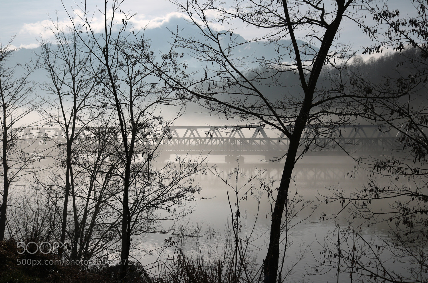 Canon EOS 750D (EOS Rebel T6i / EOS Kiss X8i) sample photo. Through the morning photography