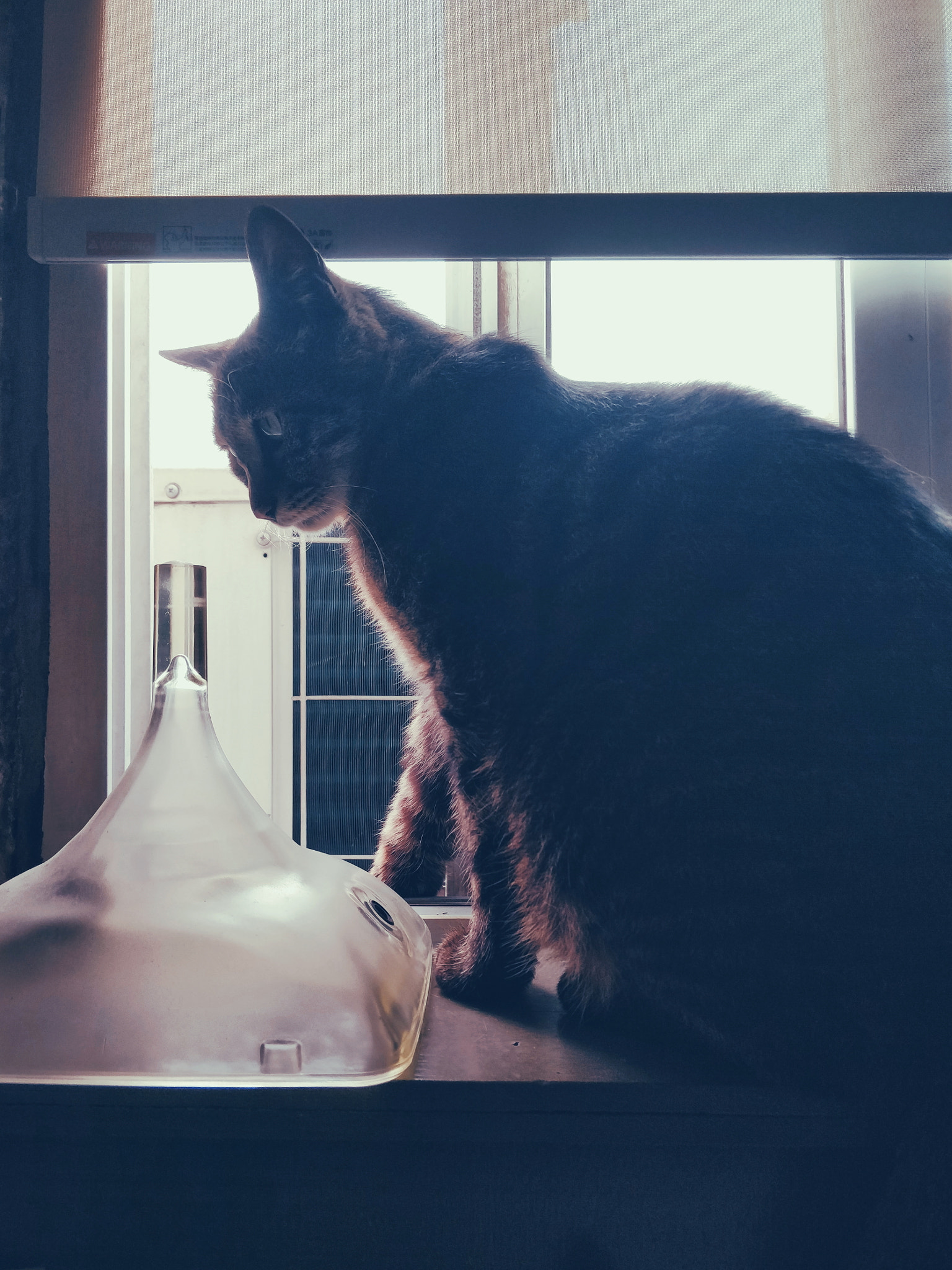 OnePlus 5T sample photo