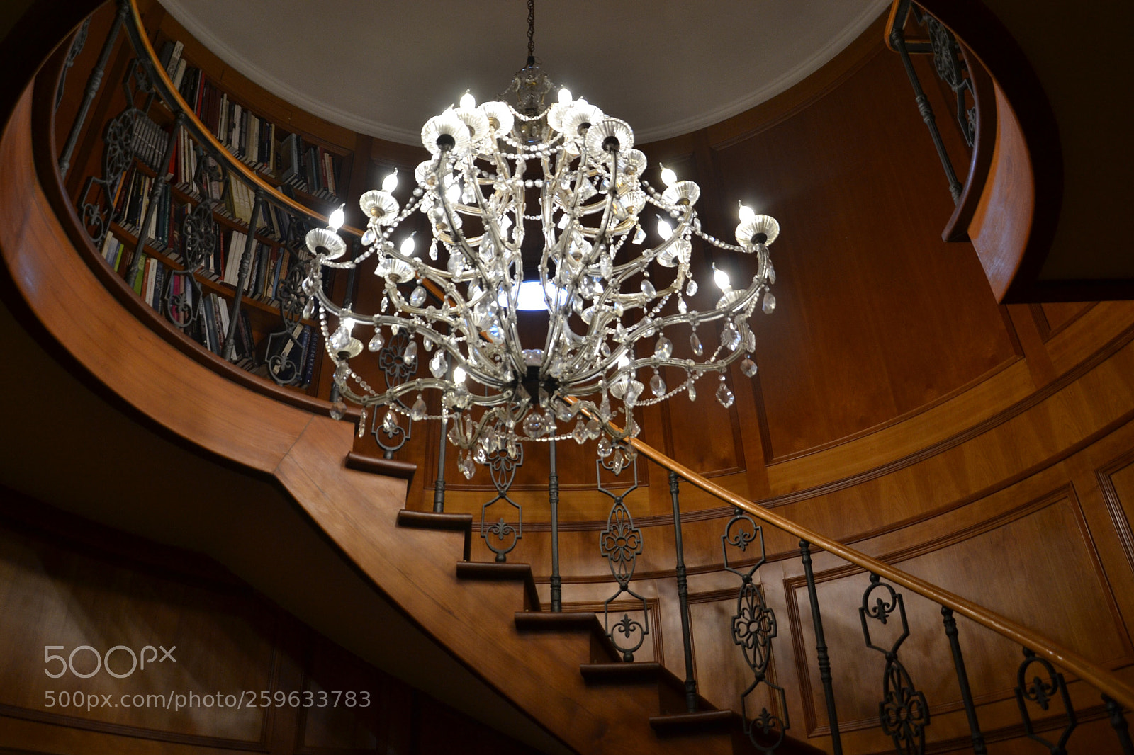Nikon D3100 sample photo. Untitled photography