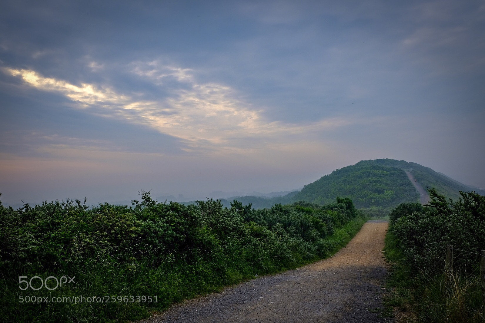 Fujifilm X-T20 sample photo. Untitled photography