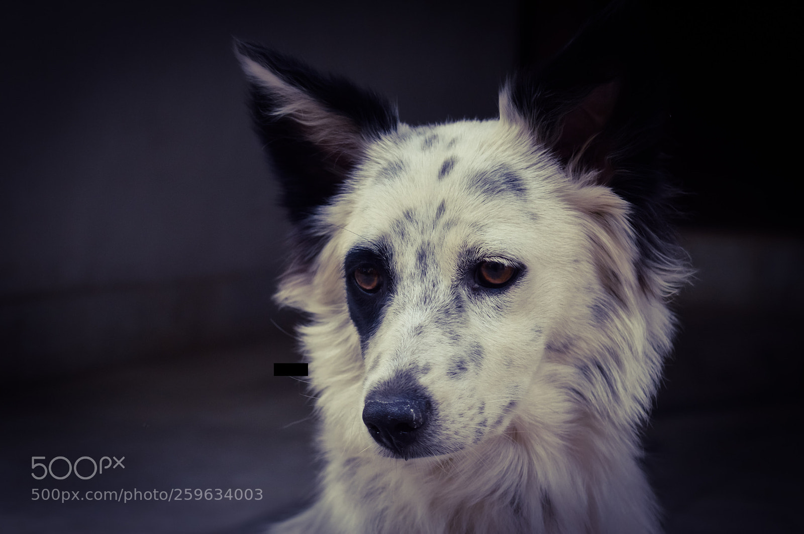 Nikon D3200 sample photo. Psx_20180426_174609.jpg photography