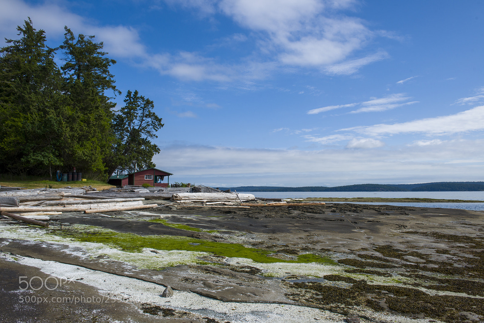 Nikon D800 sample photo. Yellow point seascape photography