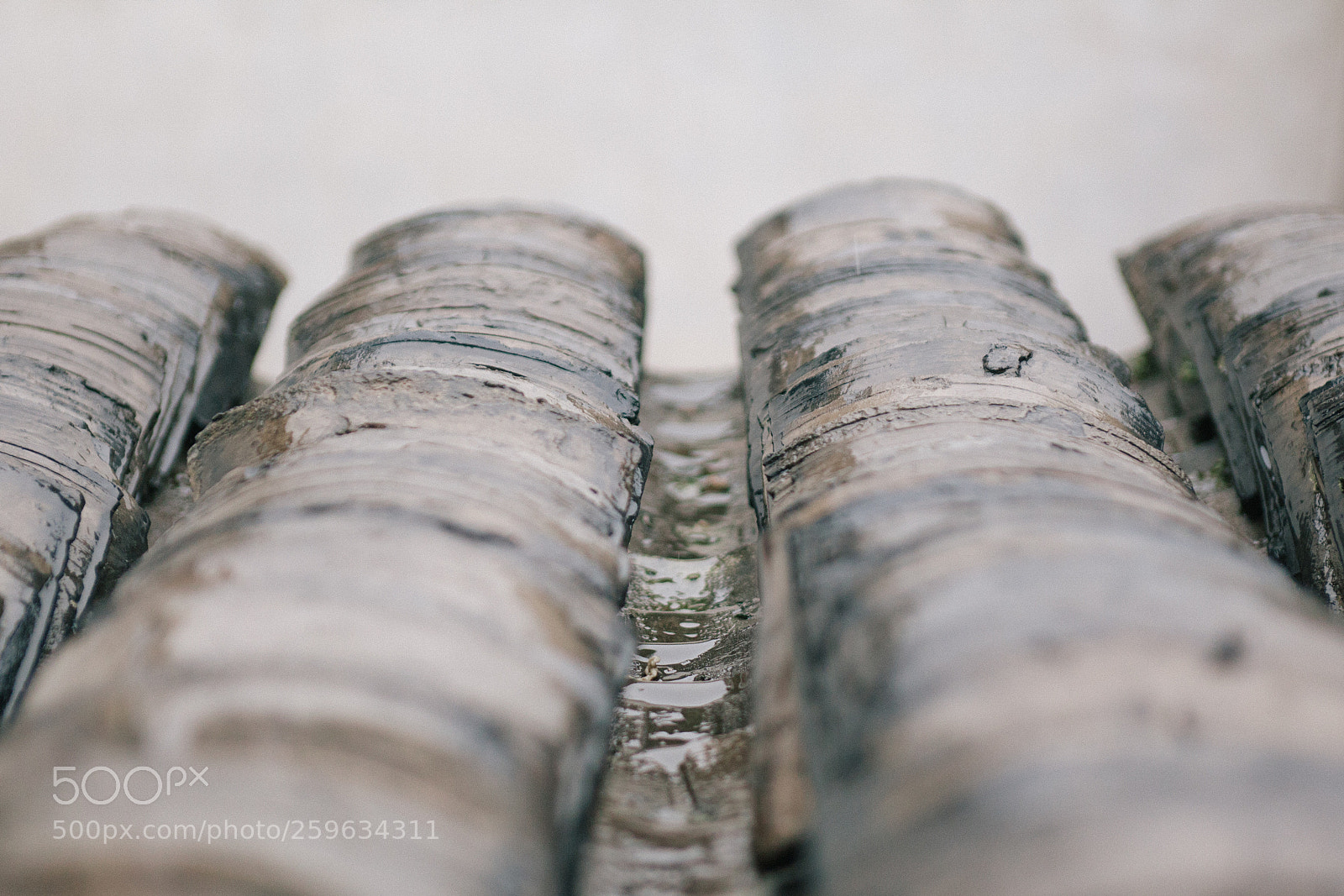 Canon EOS 5D Mark II sample photo. Rain day photography