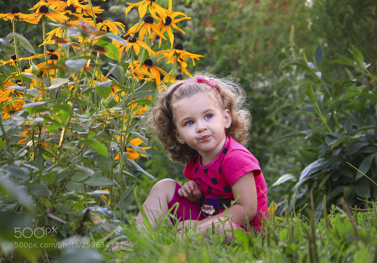 Canon EOS 600D (Rebel EOS T3i / EOS Kiss X5) sample photo. Соседский цветочек photography