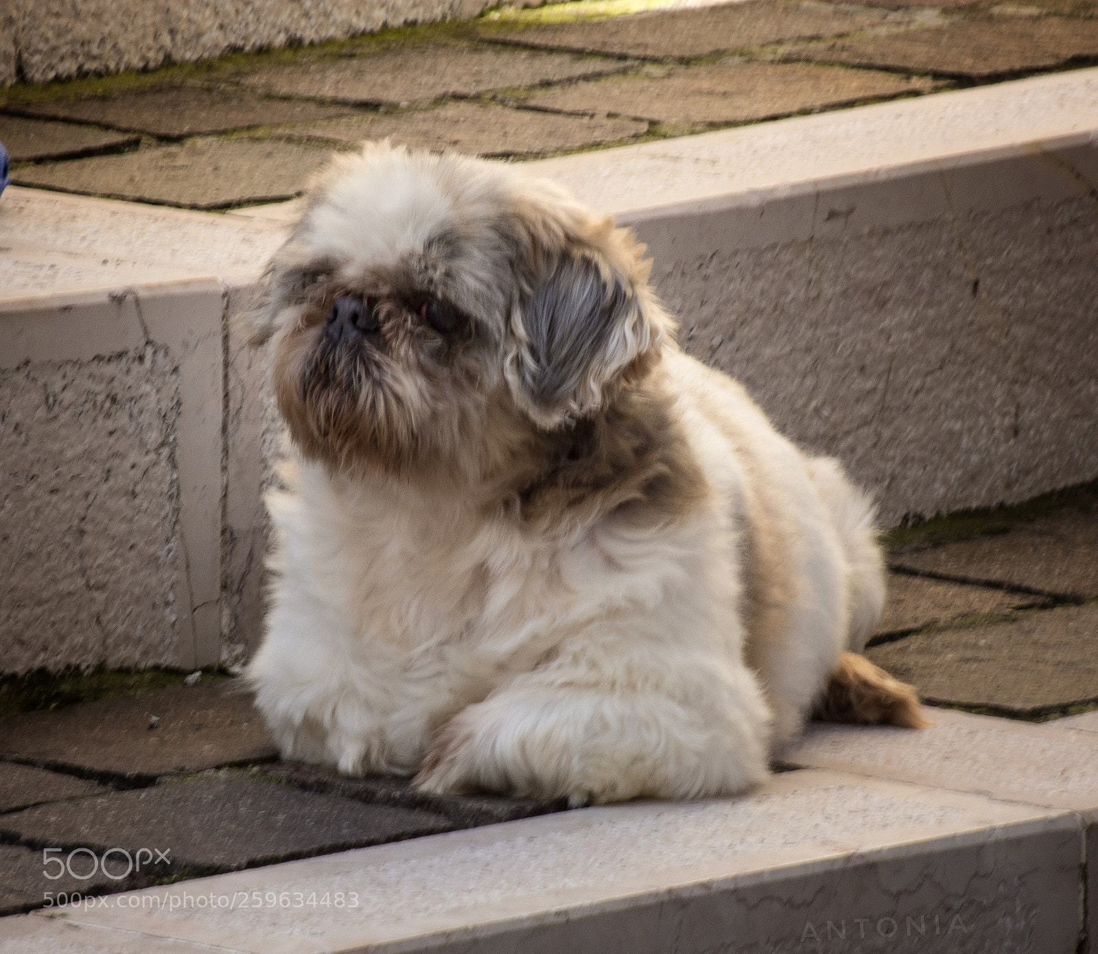 Nikon D7200 sample photo. Untitled photography