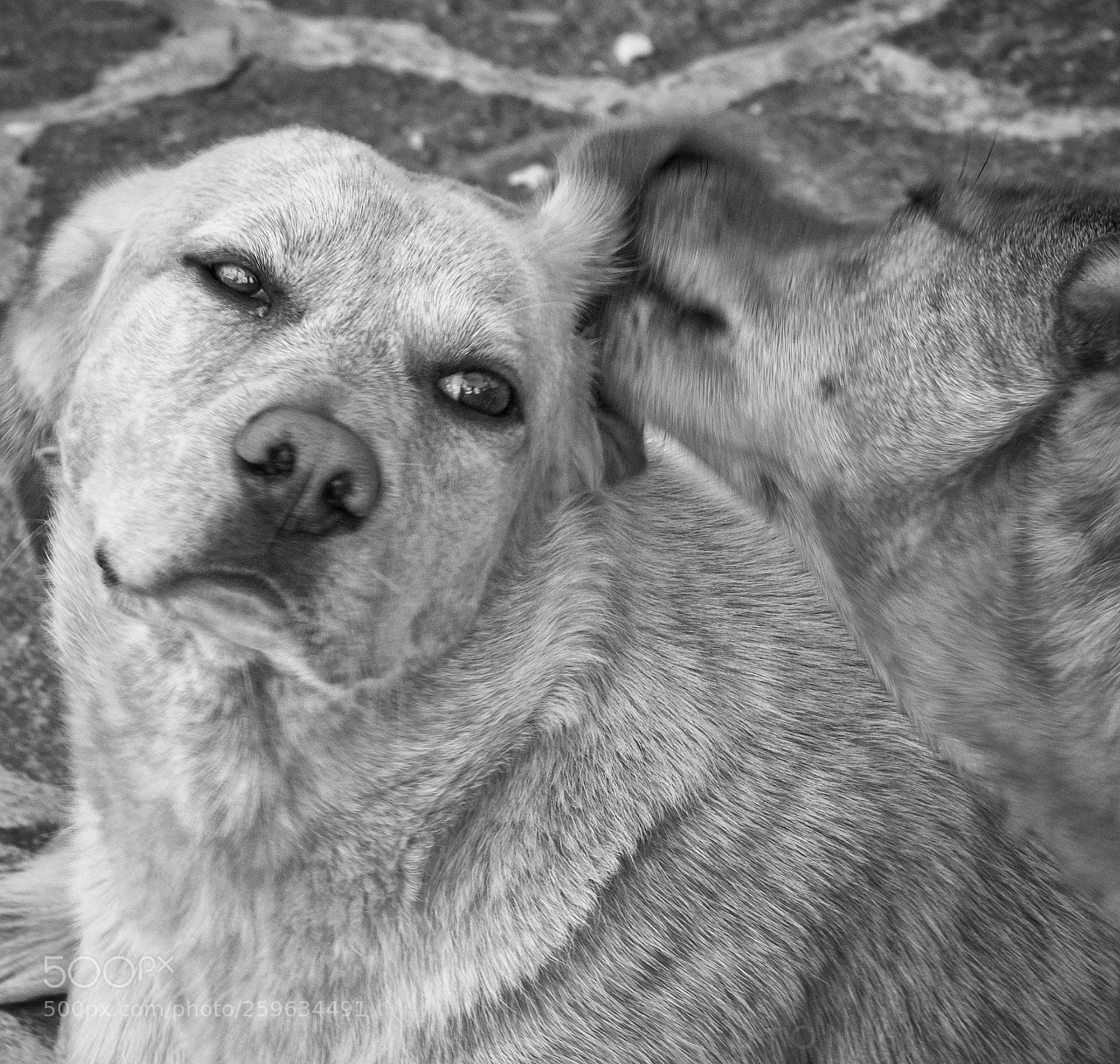 Nikon D7200 sample photo. Untitled photography