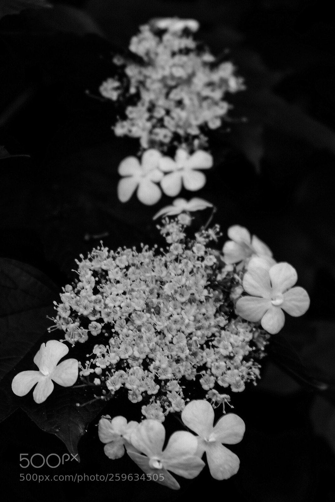 Fujifilm X-T20 sample photo. Untitled photography