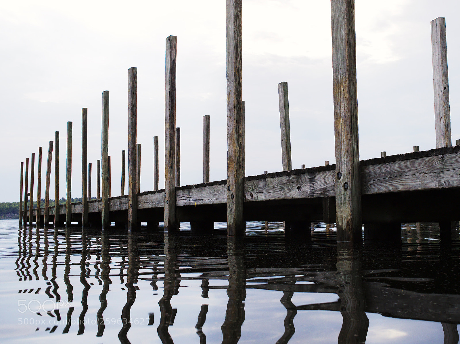 Canon EOS 6D Mark II sample photo. From the water line photography