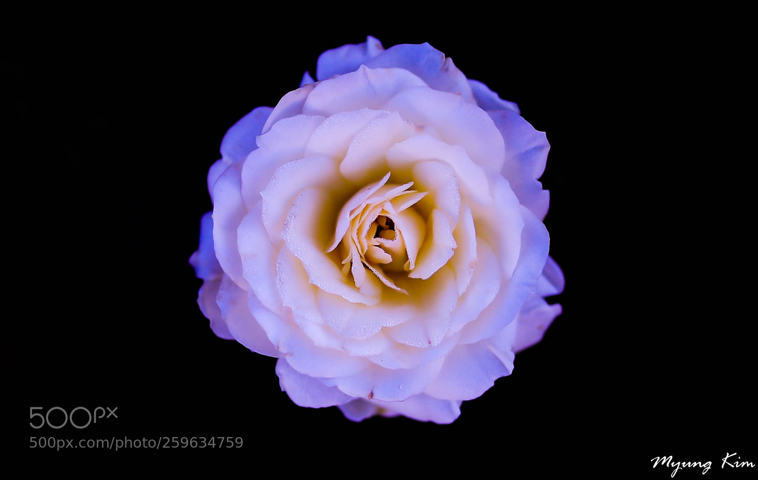Canon EOS 5D Mark IV sample photo. Pa photography