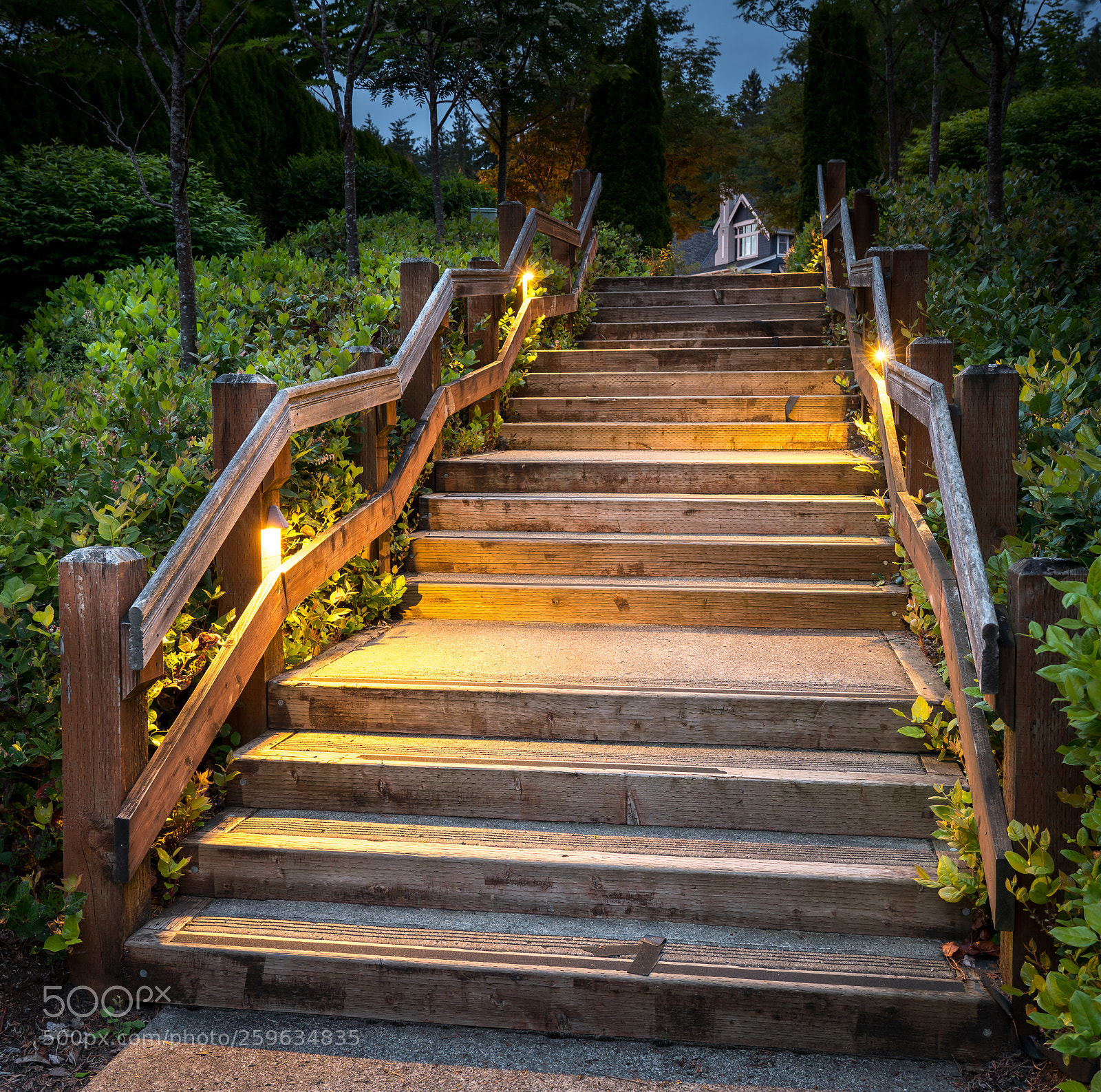 Sony a7R III sample photo. Steps photography