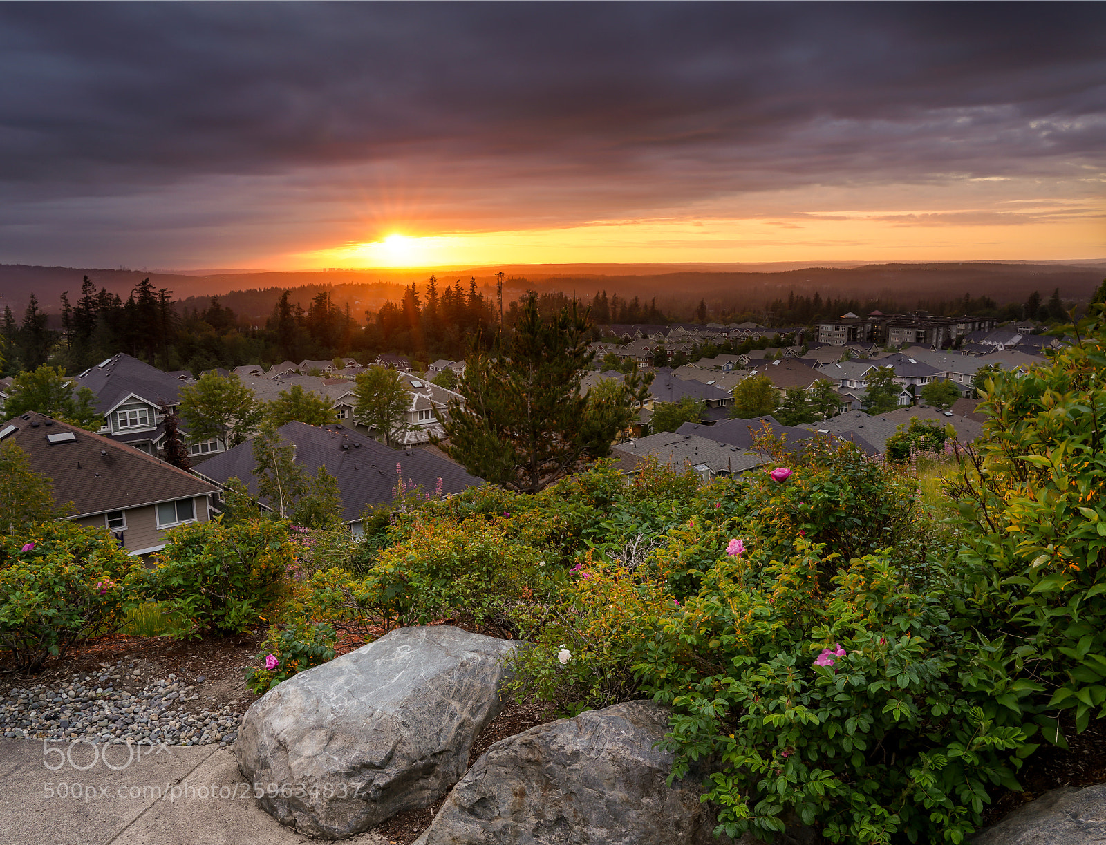 Sony a7R III sample photo. Highlands sunset photography