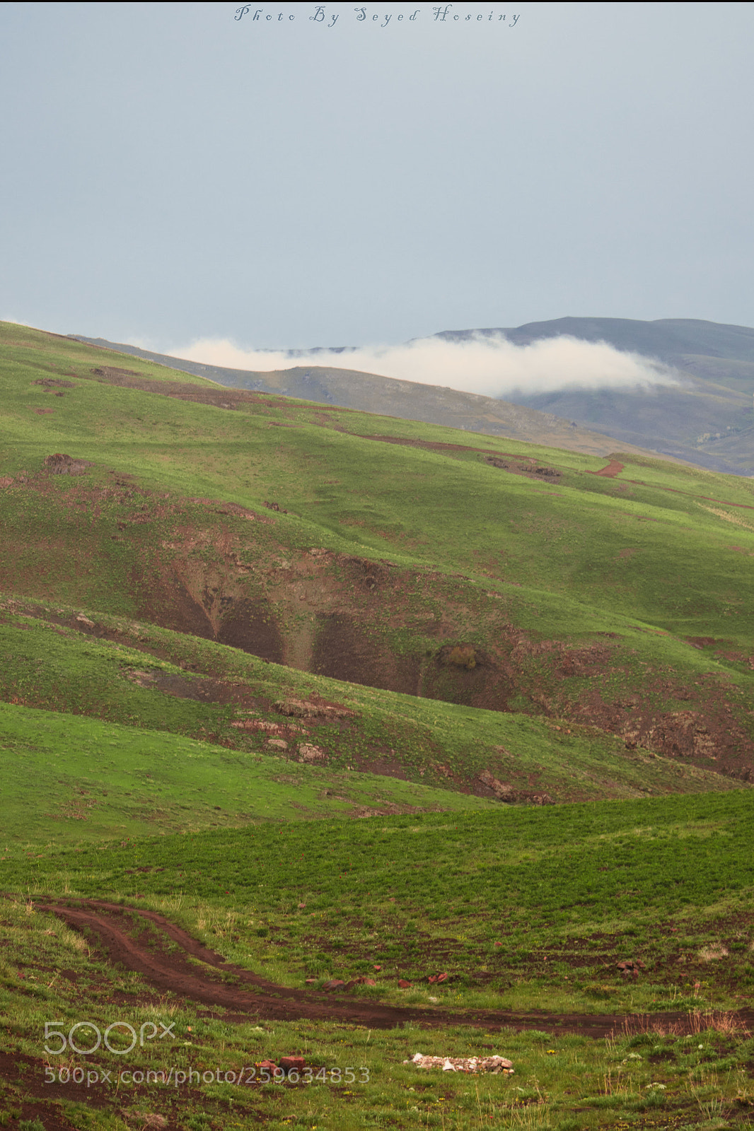 Nikon D5300 sample photo. Fog photography