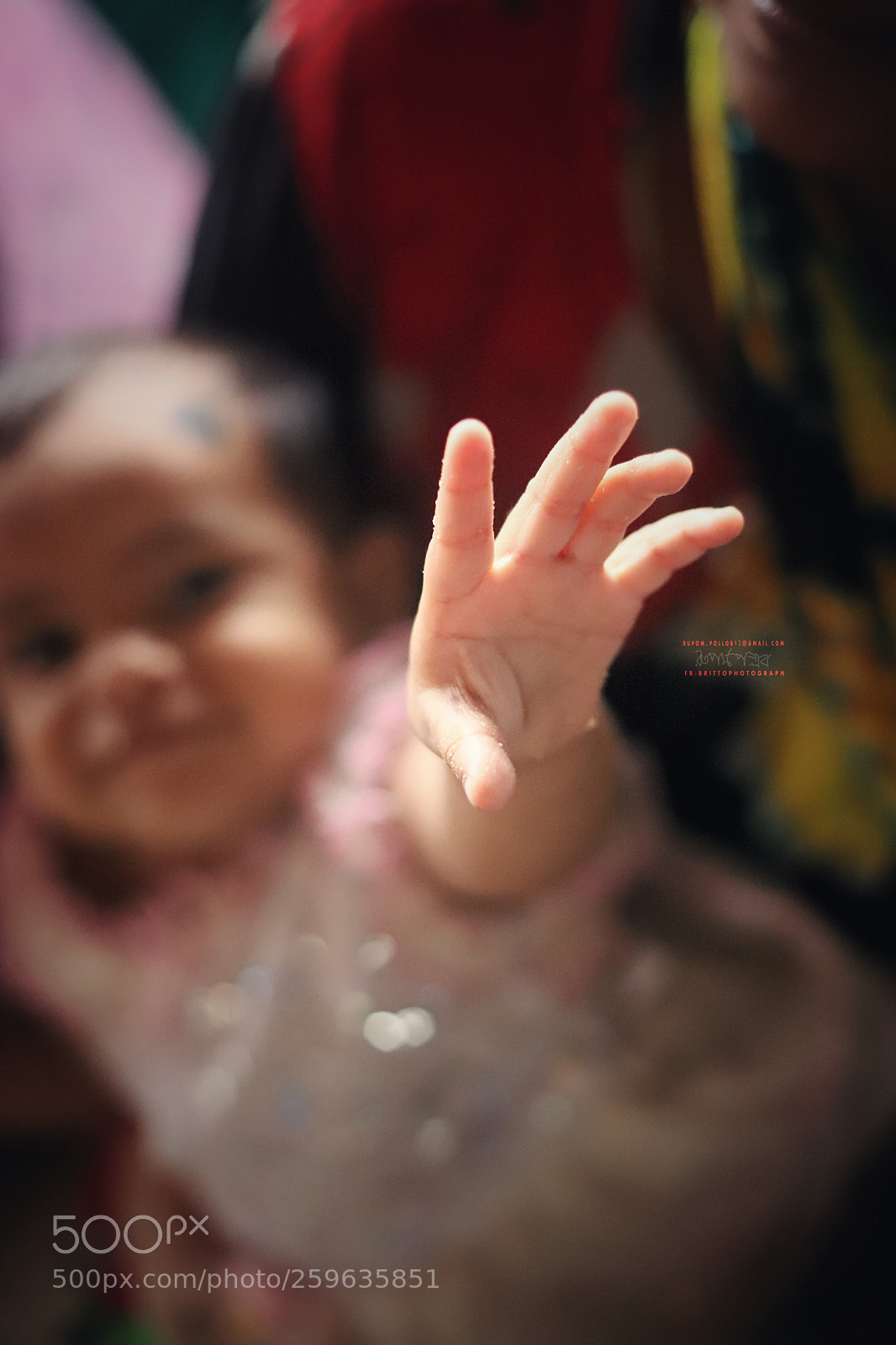 Canon EOS 6D Mark II sample photo. Untitled photography