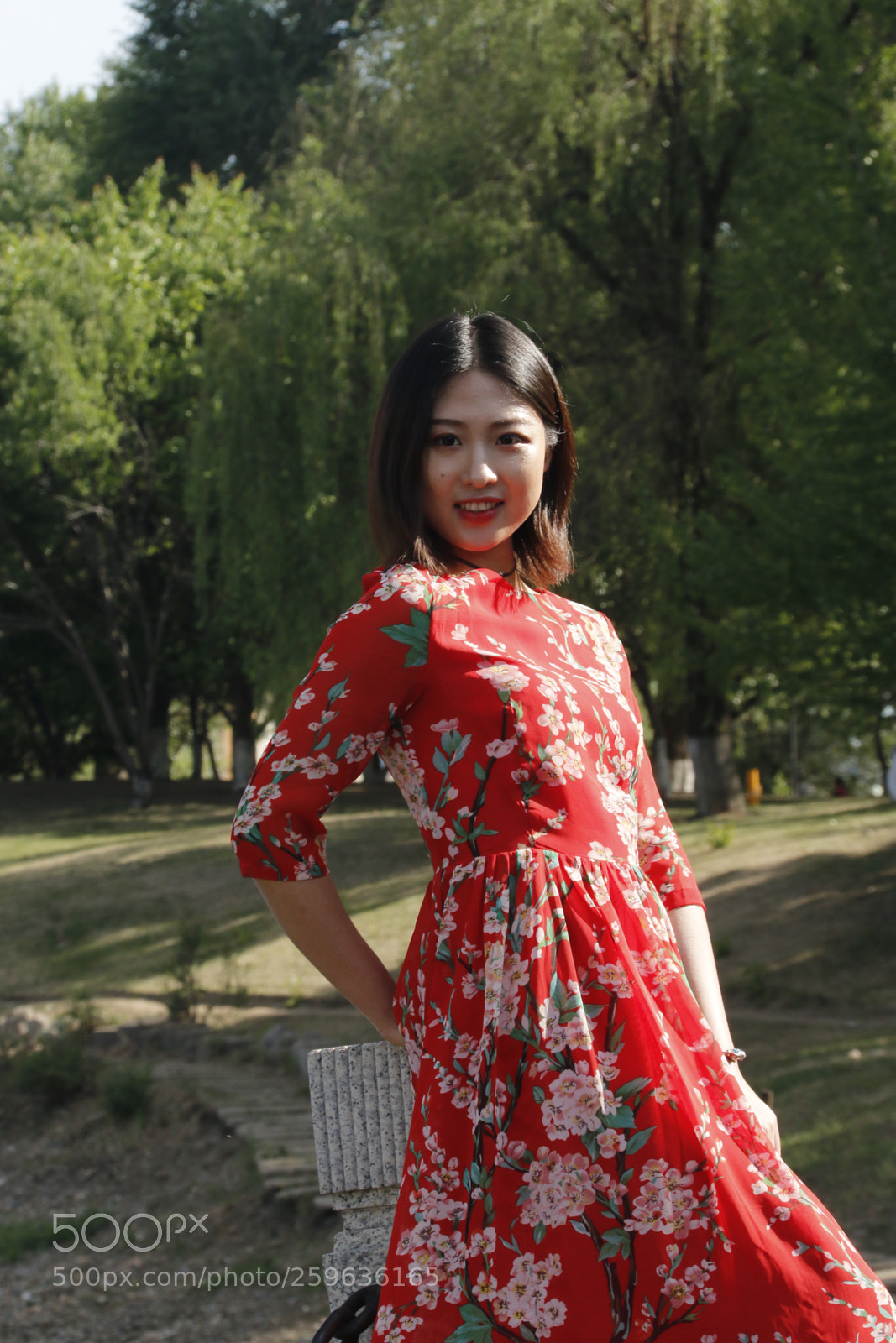 Canon EOS 70D sample photo. The breeze rose photography