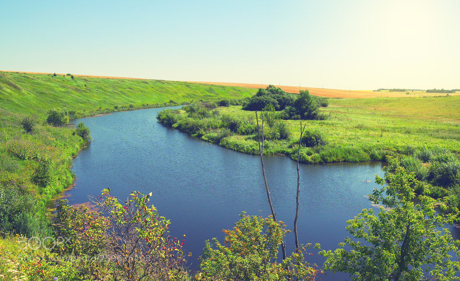 Nikon D5100 sample photo. Summer beauty photography