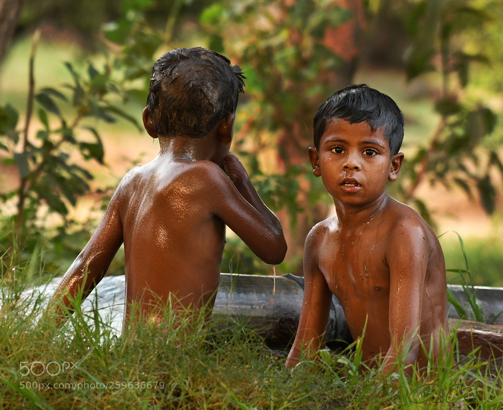 Nikon D7500 sample photo. Mussalleeya de photography
