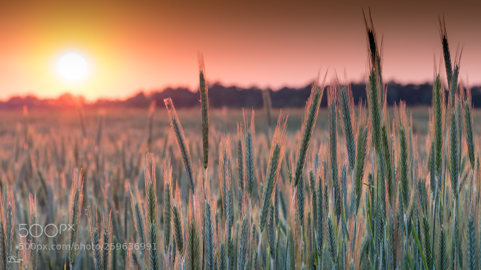 Canon EOS 80D sample photo. End of the day. photography