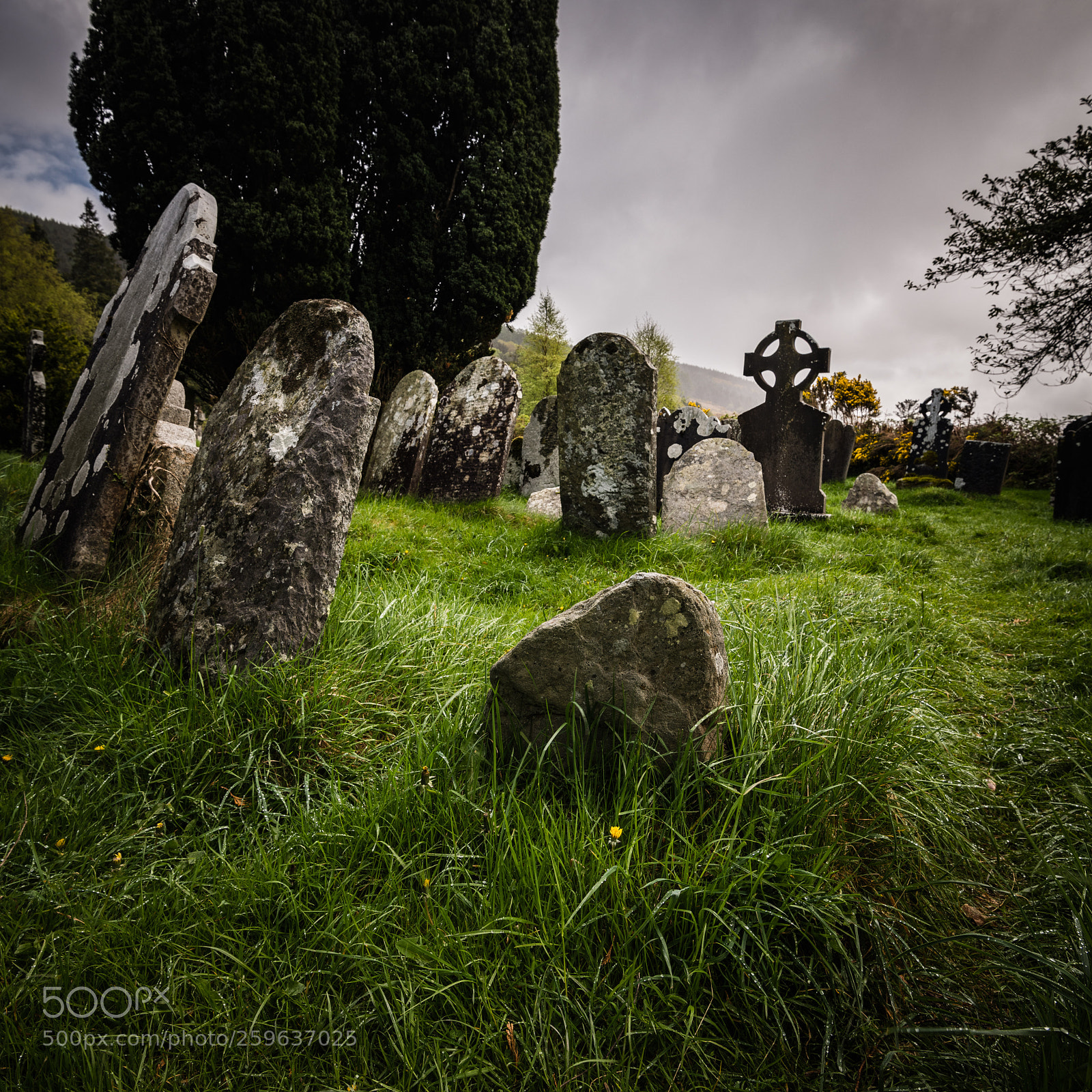 Nikon D850 sample photo. These stones haven't rolled photography