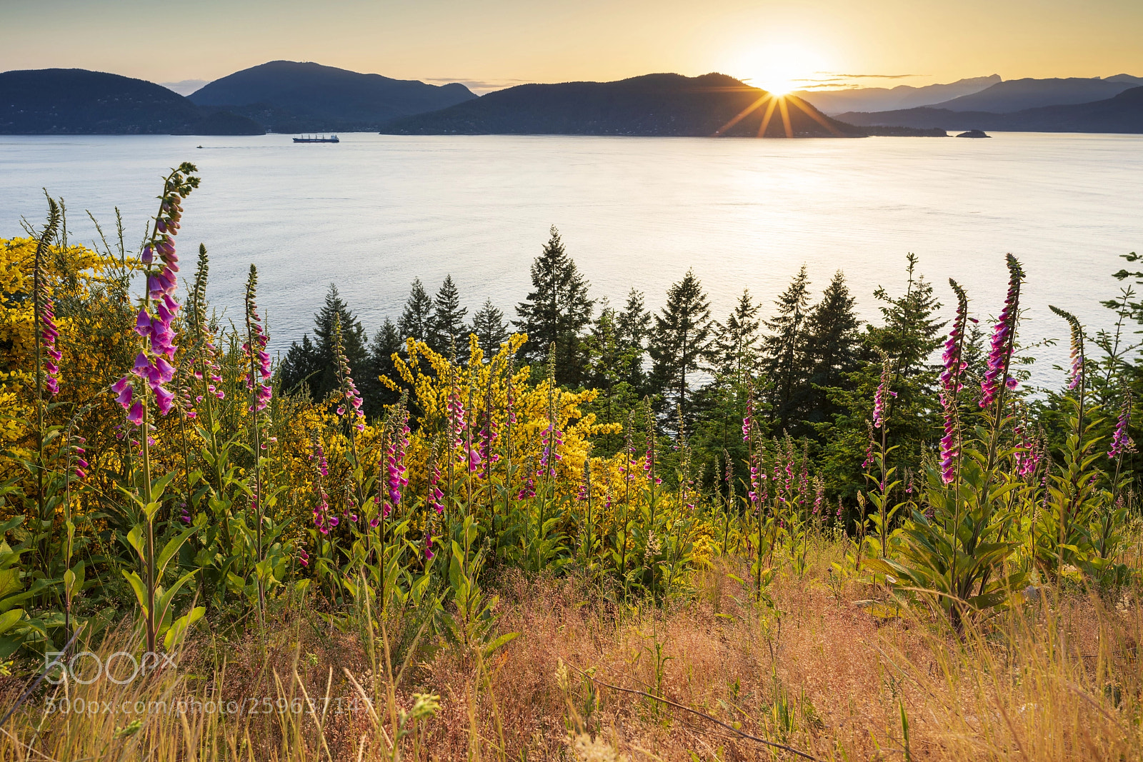 Sony a7R III sample photo. Howe sound photography