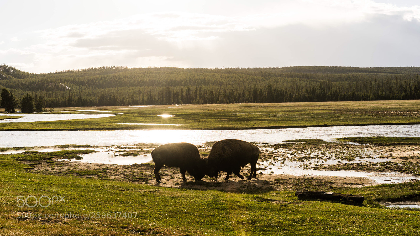 Sony a7 II sample photo. Sunset photography