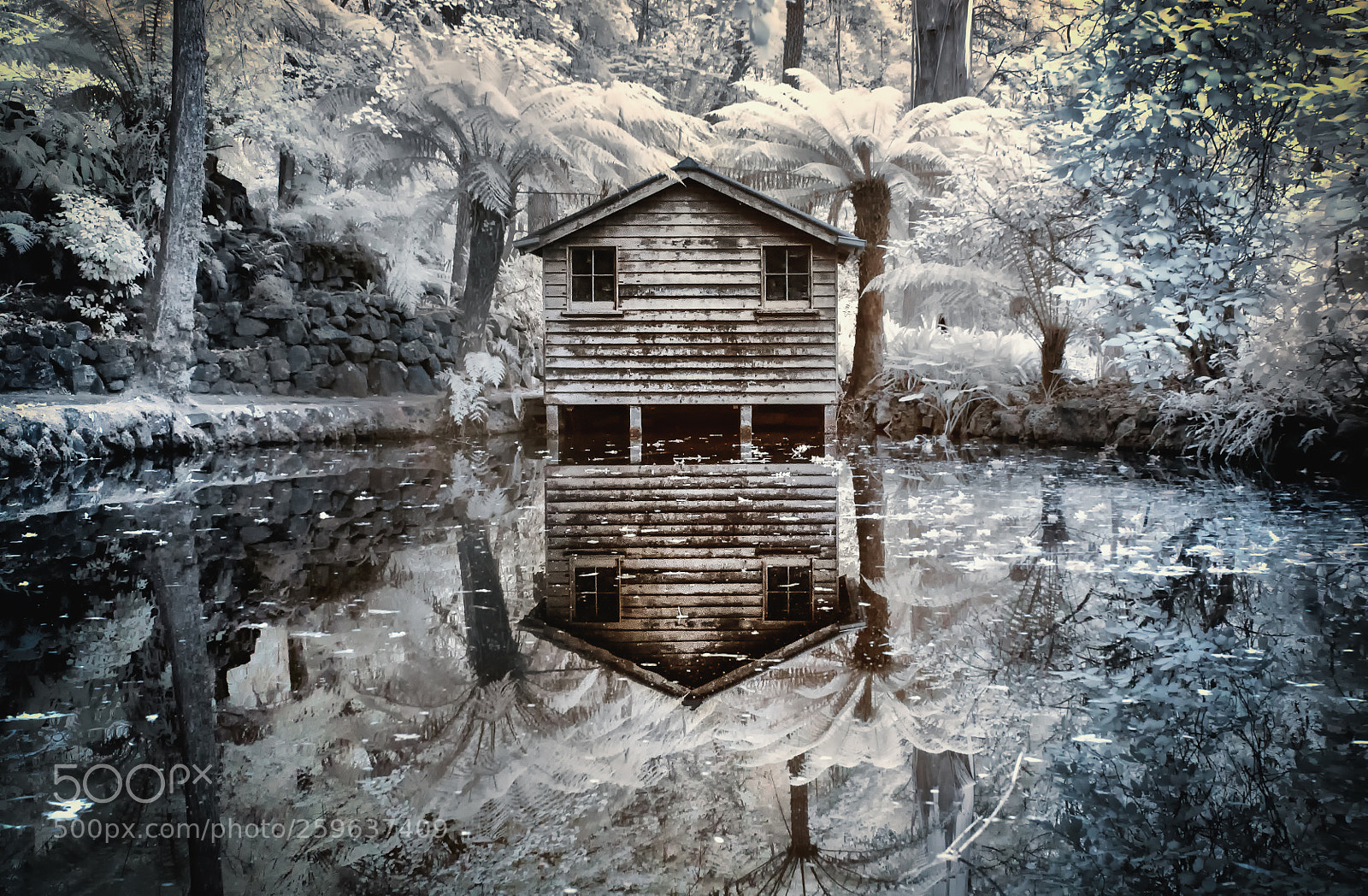 Nikon D300 sample photo. Wooden house ir photography