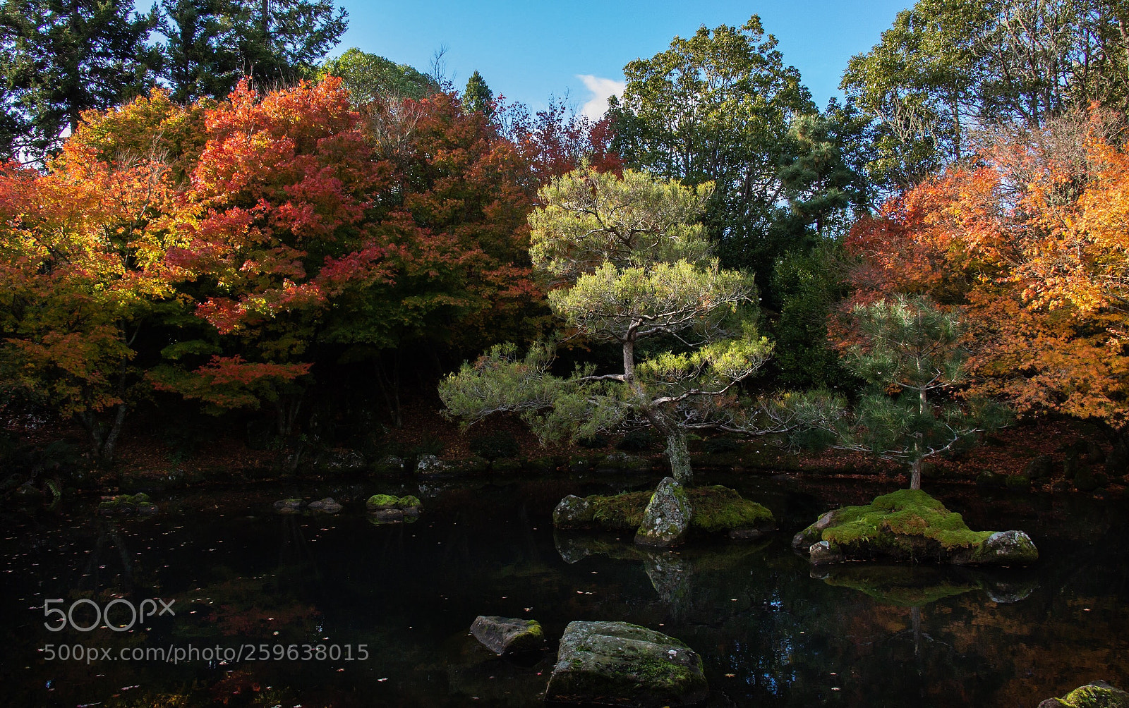 Canon EOS 70D sample photo. Autumn in hamilton photography
