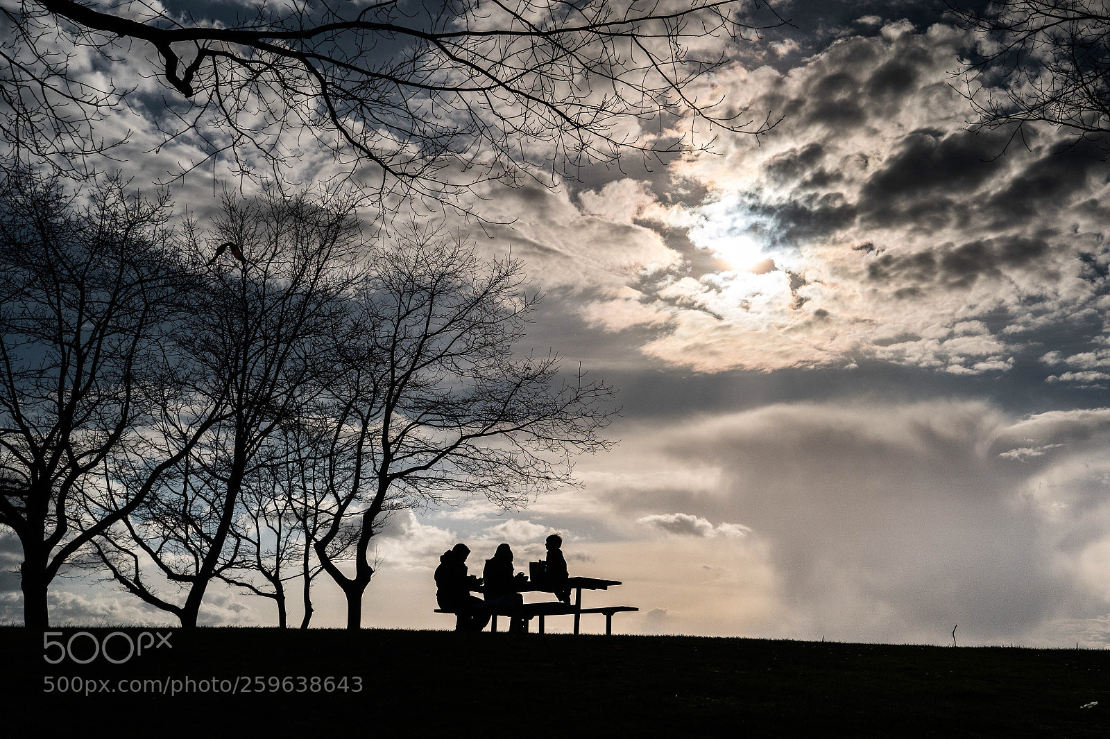 Panasonic Lumix DC-GH5 sample photo. Picnic in the sky photography