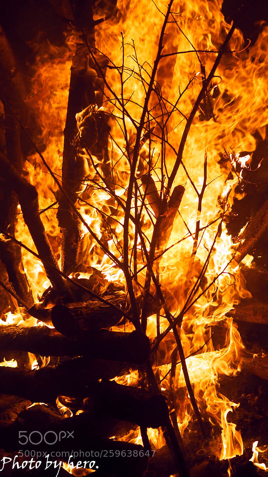 Olympus OM-D E-M10 sample photo. Camp fire photography