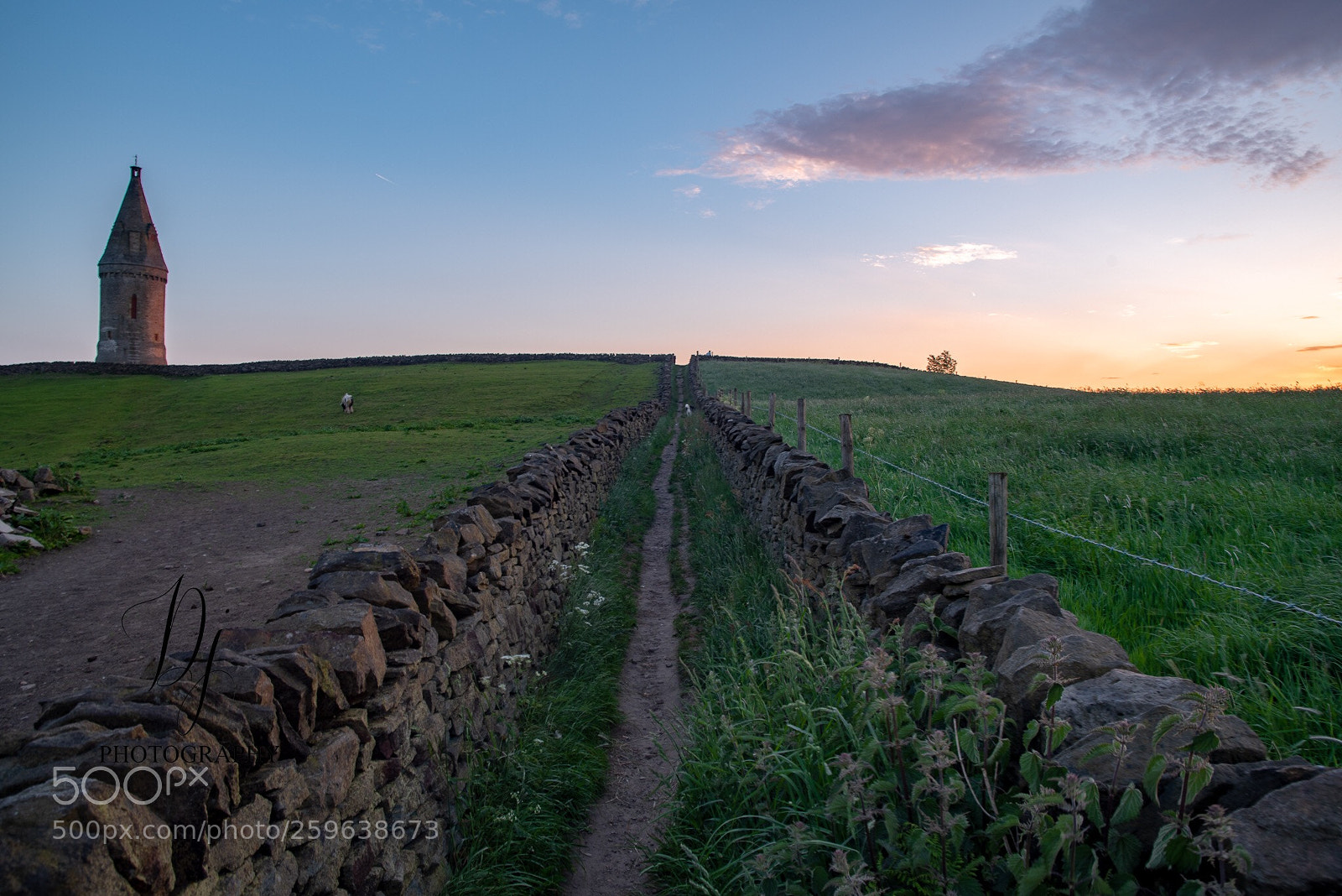 Nikon D750 sample photo. Up to the top photography