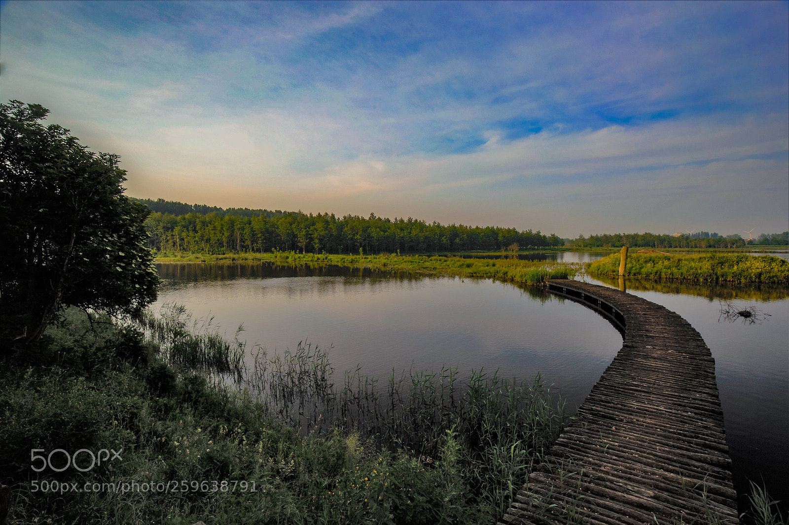 Canon EOS 6D sample photo. De ruigte photography
