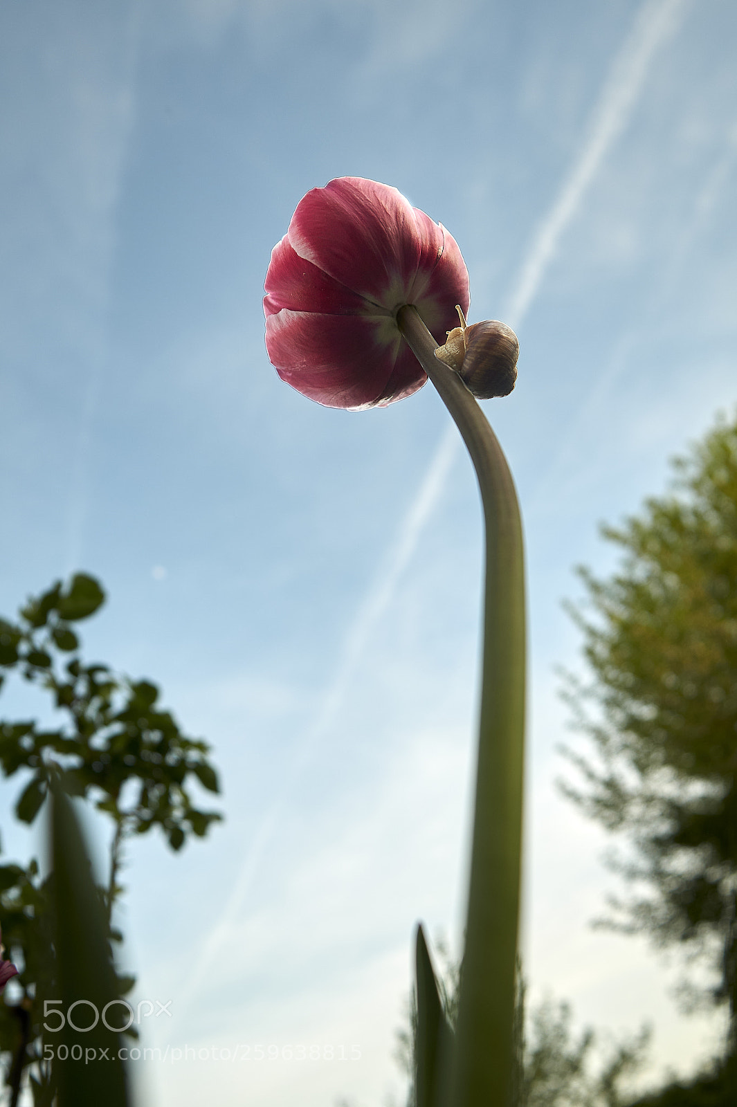 Sony Alpha a5000 (ILCE 5000) sample photo. Up photography