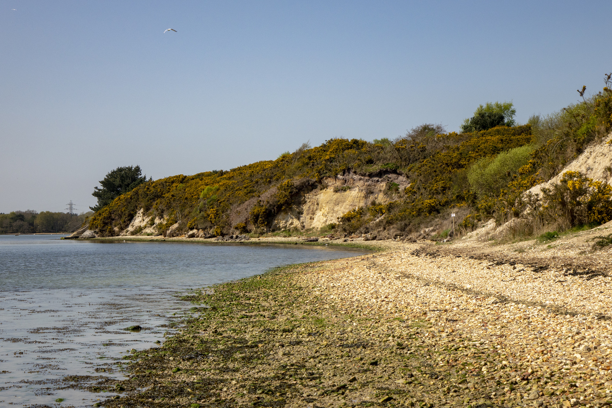 Sony Cyber-shot DSC-RX10 II sample photo. Ham lake beach photography
