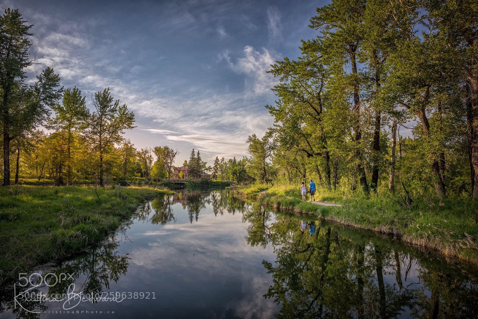 Nikon D810 sample photo. A walk in the photography