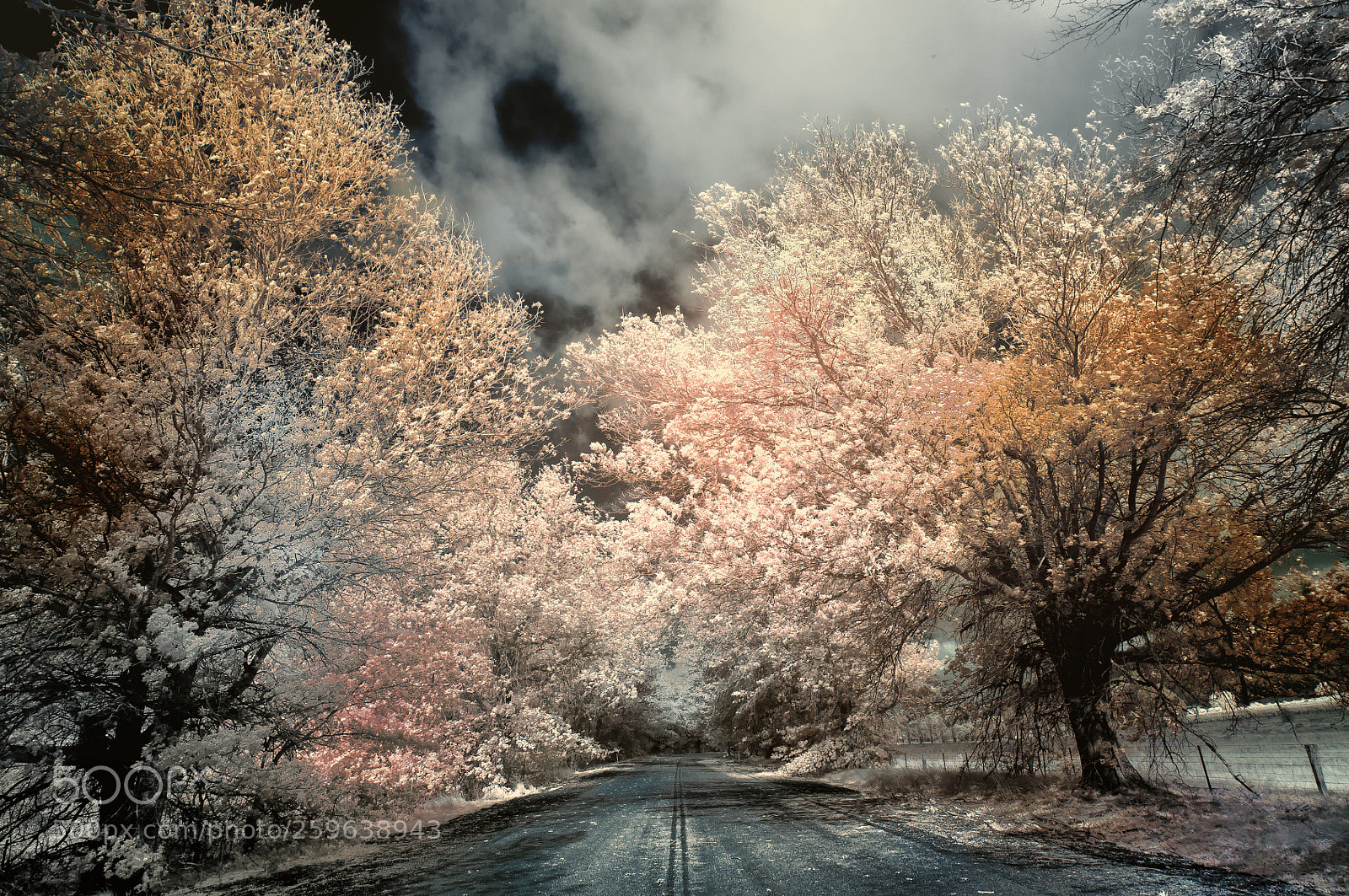 Nikon D300 sample photo. Autumn mt kosciuszko photography