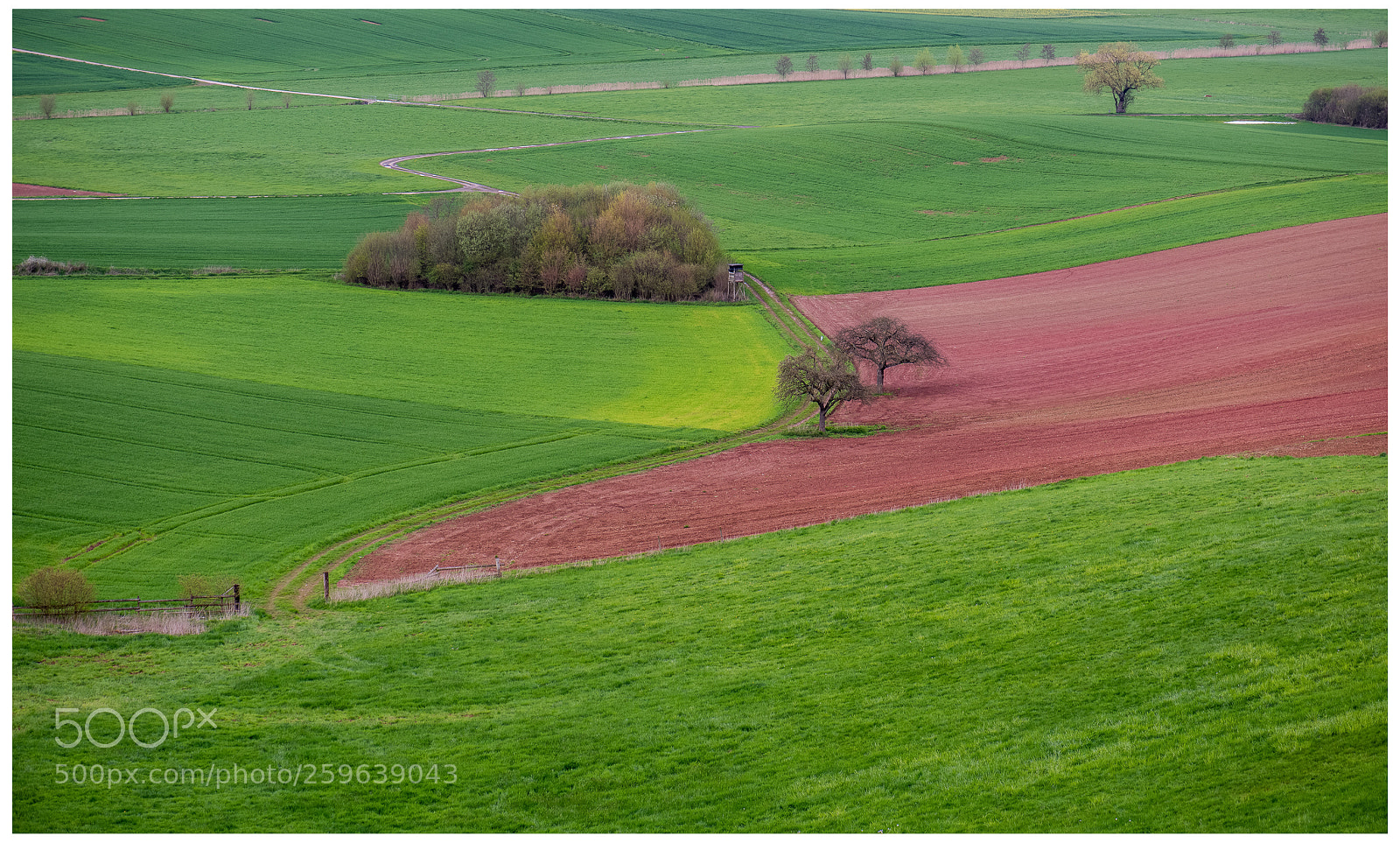 Nikon D810 sample photo. Wetterau seasons 1 photography