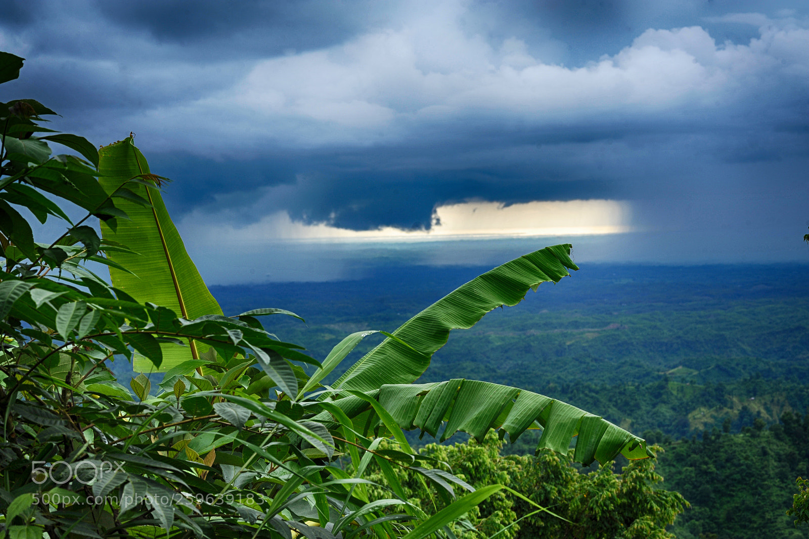 Nikon D700 sample photo. Sky light photography