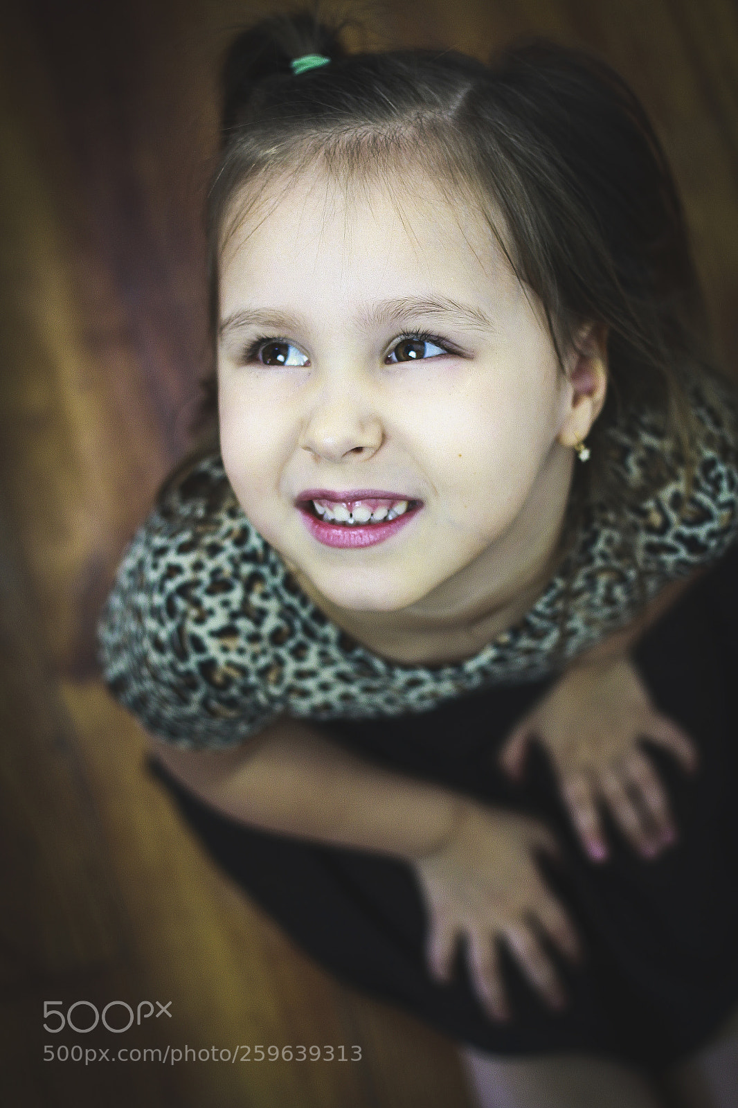 Canon EOS 50D sample photo. 11.jpg photography