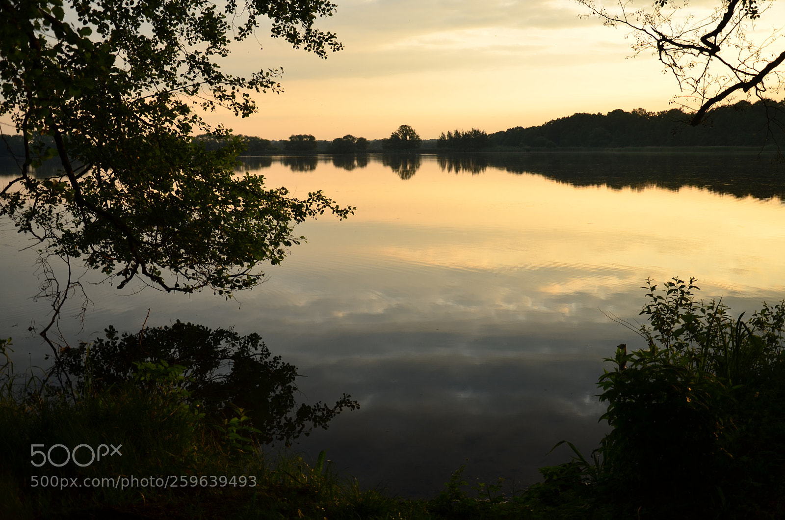 Nikon D5100 sample photo. 337 photography