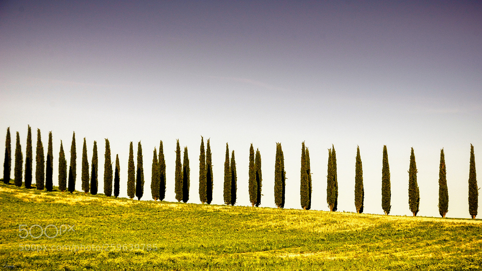 Nikon D7100 sample photo. Tuscany photography