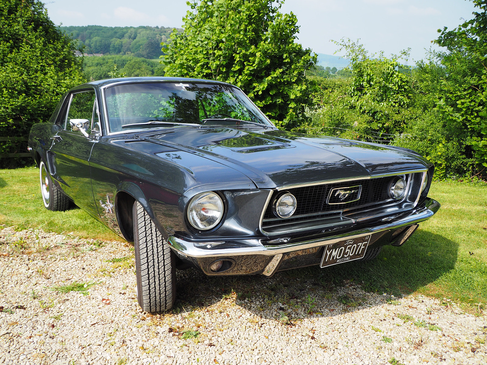 Olympus OM-D E-M1 sample photo. Ford mustang  photography