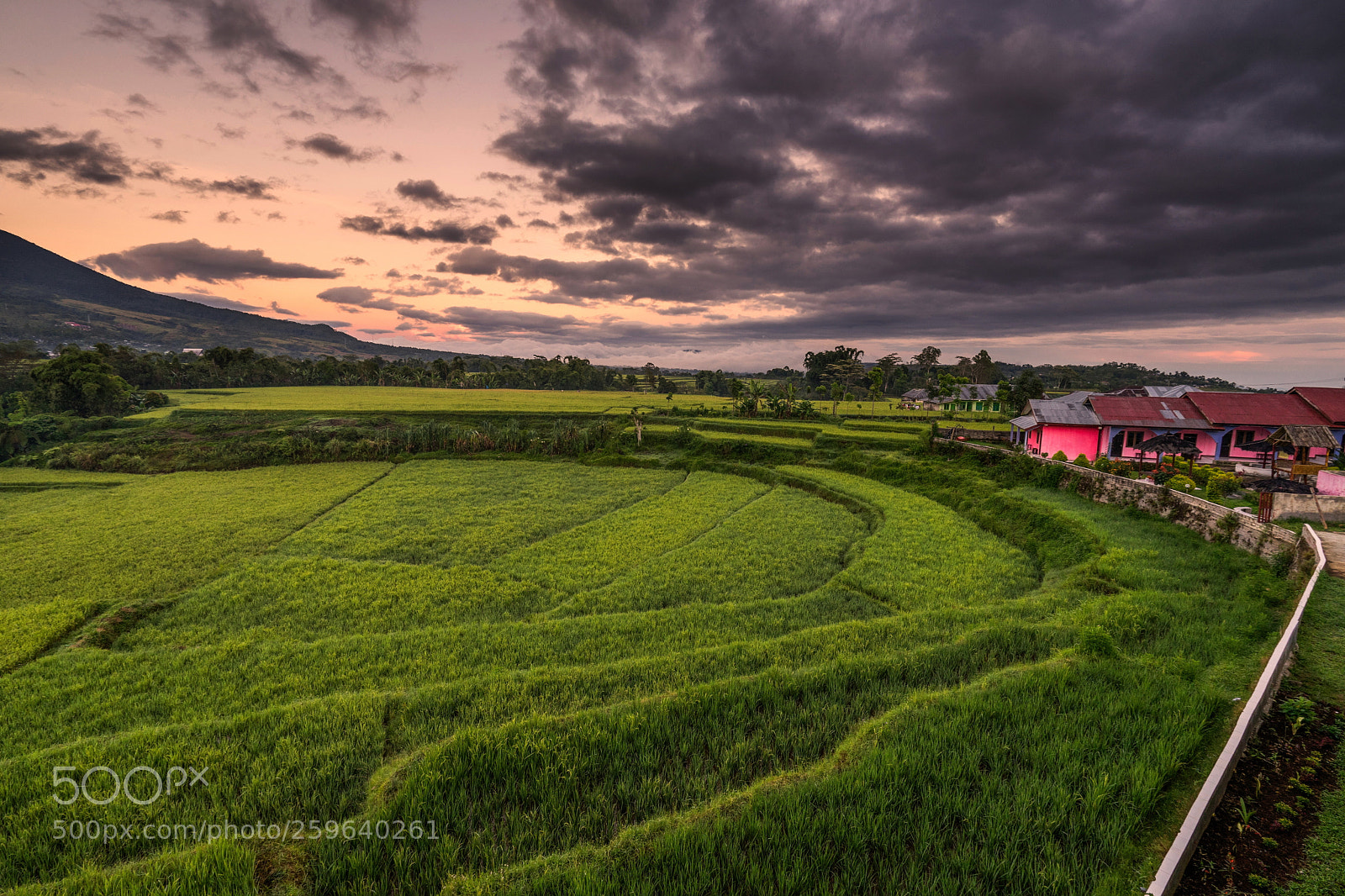 Sony a7 II sample photo. Curved line photography