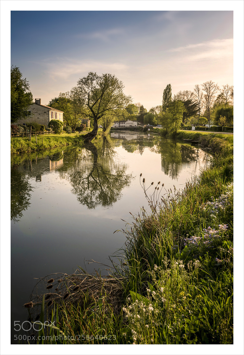 Nikon D750 sample photo. Marais poitevin - coulon photography